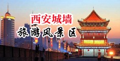 粗长大吊猛插小浪逼视频中国陕西-西安城墙旅游风景区